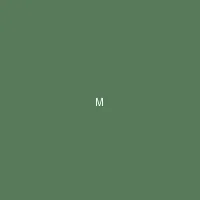 墨夜 (Midnight Ink) - 寸止挑战 创作者头像
